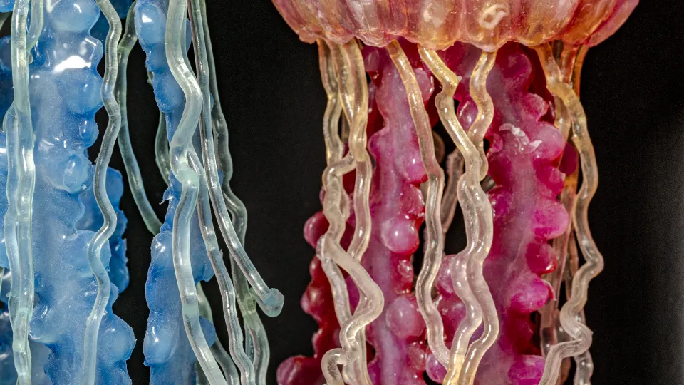 展覧会] スーツケースの中の美術館 －想像の海－ | France Osaka